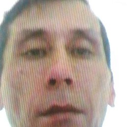 �������, ���������, 46 ���