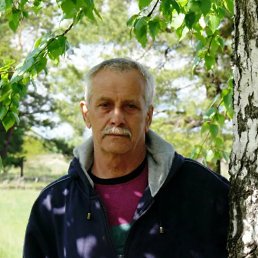 ���� �����, ��������, 55 ��� - ��������� 14 ������� 2025