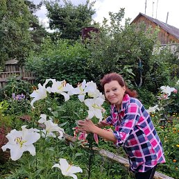 ���� �����, �������, 67 ��� - ��������� 3 �������� 2024