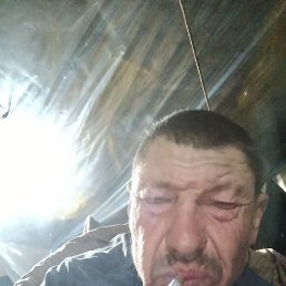 ���� ����, ������, 52 ���� - ��������� 16 ������� 2026