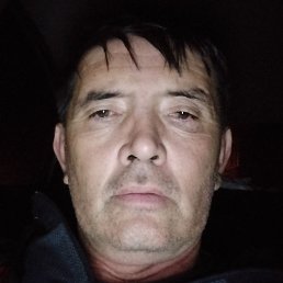 ����������, �������, 49 ���