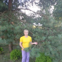 ��������� ���������, �������, 57 ���