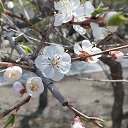 ���� ��������, �����������, 46 ��� - ��������� 22 ������� 2025 � ������ ���� ������ 2025�