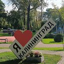 ���� ������, ������, 46 ��� - ��������� 23 �������� 2024 � ������ ���� ����������