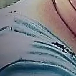 ������, ����, 44 ����