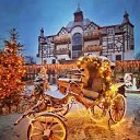 ���� ������, �����������, 57 ��� - ��������� 27 ������� 2024 � ������ ������ ��������