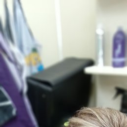 ���� ������, ����-���������, 54 ���� - ��������� 13 ����� 2026