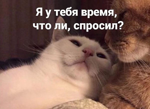 ��� ���� � ����� �� �� - 13 ������� 2025 � 02:33 - 2