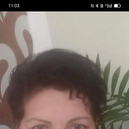 ���� ����, ���������, 63 ���� - ��������� 14 ������� 2026