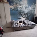 ���� ���, ���������, 49 ��� - ��������� 20 ���� 2025