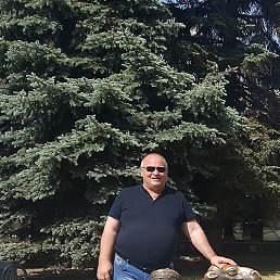 ���������, ������, 55 ���