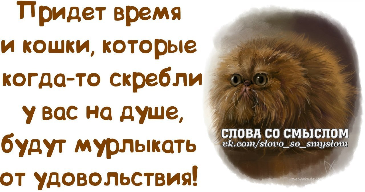 Maxim Mercury - 29  2025  15:57