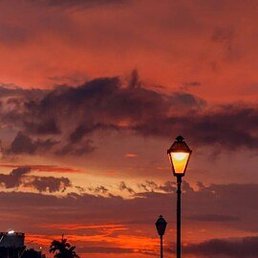 �����, �������, 31 ���