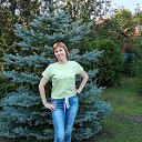 ���� �����, ������, 55 ��� - ��������� 28 ������ 2026 � ������ ���� ����������