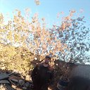 ���� ������� ������, �����, 42 ���� - ��������� 3 ������� 2026 � ������ ���� ����������