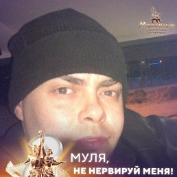 ����, �����, 41 ���