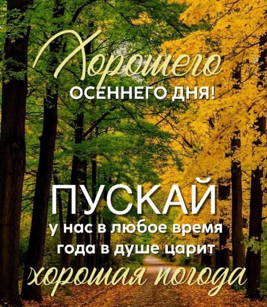   ,    . - 12  2025  13:19 - 2