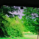 ���� Inga-sergeewna, ������ - ��������� 4 ��� 2025 � ������ ���� ����������