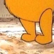 ����, 41 ���, ���������