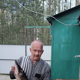 �������, 58 ���, ���������