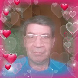 ���� �����, �����, 55 ��� - ��������� 2 ������ 2024