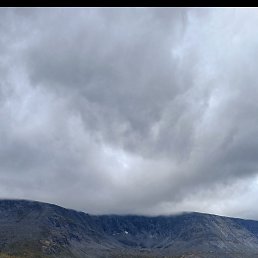 ����������, 46 ���, ������