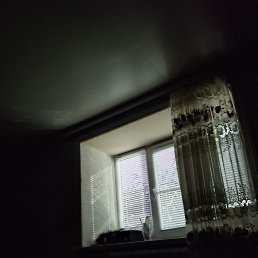 ���� ����, ���������, 55 ��� - ��������� 16 ������� 2026