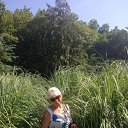 ���� �������, ��������� - ��������� 7 �������� 2025 � ������ ���� ����������