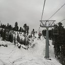 ���� ������, �����������, 82 ���� - ��������� 1 ������� 2024 � ������ ���� ����������