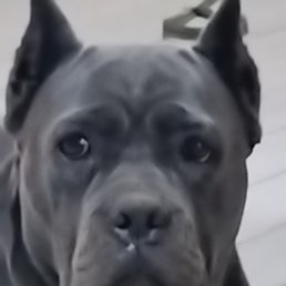 ���� ���������, ����-���, 46 ��� - ��������� 10 ��� 2025