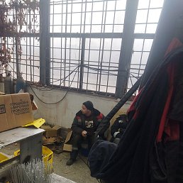 ����, ���������, 37 ���