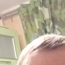 ����, ������, 41 ���