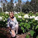 ���� ������, ������������, 70 ��� - ��������� 7 ������� 2024 � ������ ���� ����������