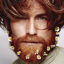 ������, �����������, 46 ���