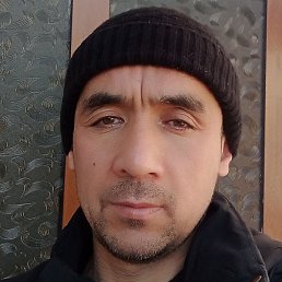 ������, ���������, 46 ���