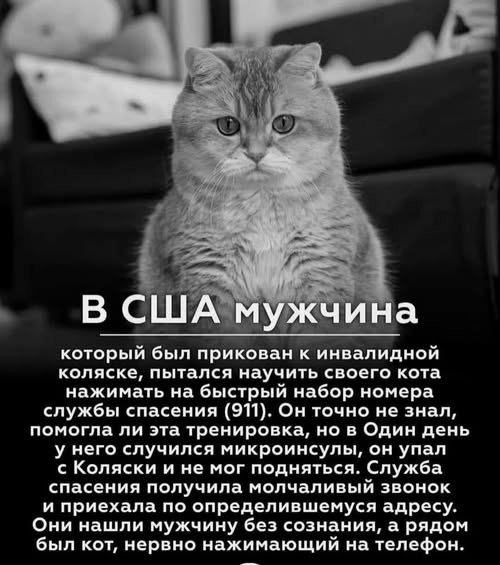   - 9  2025  14:54