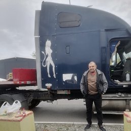 ����, 50 ���, �������������