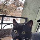 ���� Vladimir, ������, 68 ��� - ��������� 26 ������� 2023 � ������ ���� ������� ������ - ������!�