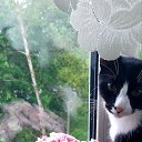 ���� ������, �������, 56 ��� - ��������� 14 ���� 2025 � ������ ������ ��������