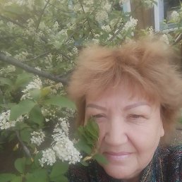 , 57, 