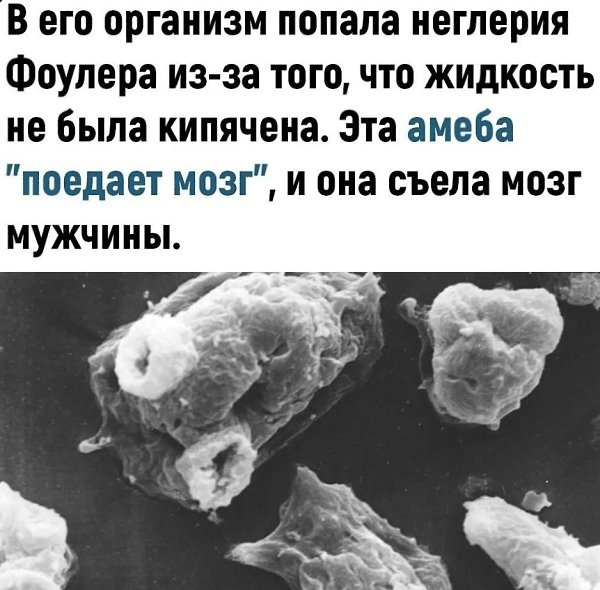    ,      ..   -    - 2