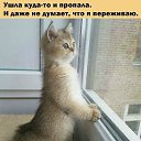 ���� �������, ������ �������� - ��������� 12 ����� 2026 � ������ ������ ��������