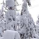 ���� �����, ���������, 60 ��� - ��������� 15 ������ 2025 � ������ ���� ����������