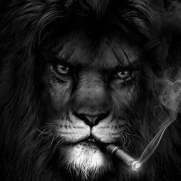 �������, ���������, 39 ���