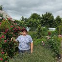 ���� ������, ������, 62 ���� - ��������� 29 ������� 2025 � ������ ���� ����������