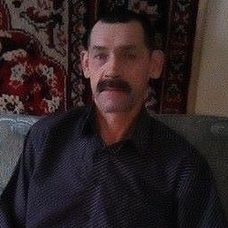 ������, �����, 66 ���