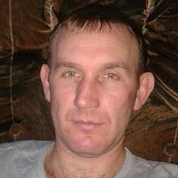 ������, ������, 41 ���