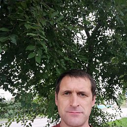 �����, 47 ���, ���������