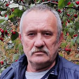 ������, ������, 62 ����