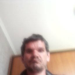 , 38 , 